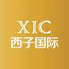 西子国际控股