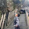 心心妈咪（xixi)90719