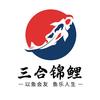 三合锦鲤