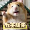 拜托了小老弟(火影)