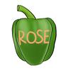 青椒rose没有青椒