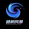 梧桐风暴（三角洲行动）