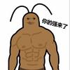 强之助