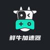 鲜牛加速器