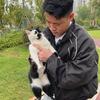 小宇和葡萄
