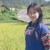 小白白白