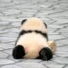 你不问
