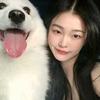 懂一点