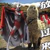 放馬過來（诗评君）