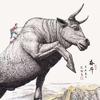 鸿图渔药 恒轩水产 大陈