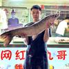 鱼丸哥