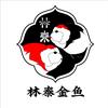 林泰金鱼