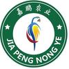 嘉鹏鹦鹉