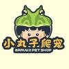小丸子爬宠