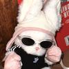 米奇图图屋🐰.（浪姐乘风2026版）