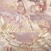 旷野玫瑰Blooming