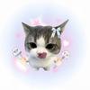 荔枝猫猫
