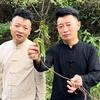 道华的亲哥(德胜哥分享祖传土方)