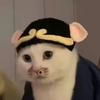 在在吗