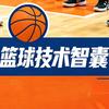 篮球技术智囊
