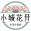 小城花开朱顶红基地