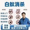 白蚁防治.消杀张师傅