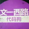 文一西路代码狗