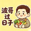 波哥过日子