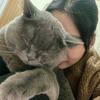 二小姐有一只猫猫猪哦！