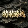 特特臻选-百货