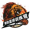钢铁篮球训练营