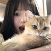 小狗迫击炮