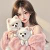 🧸ྀི汐汐大王