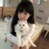 晚安小温