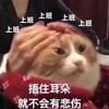 卡比糊