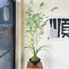 云水花卉