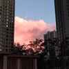 小黑不黑