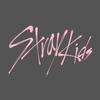 StrayKids_0fficial