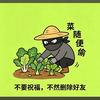 吃了个小包子