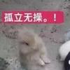 孤立无操。！