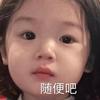 一只小娱