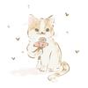 橘猫筒