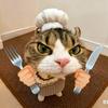 馋猫科普