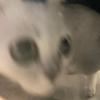 无敌LOL大王