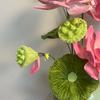 花椰菜扭扭棒