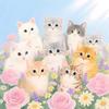 九九喵的猫