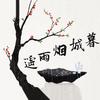 暮城烟雨遥