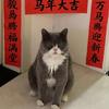 十七的香道日常