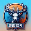 鹿图驾考
