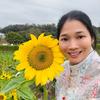 小燕子